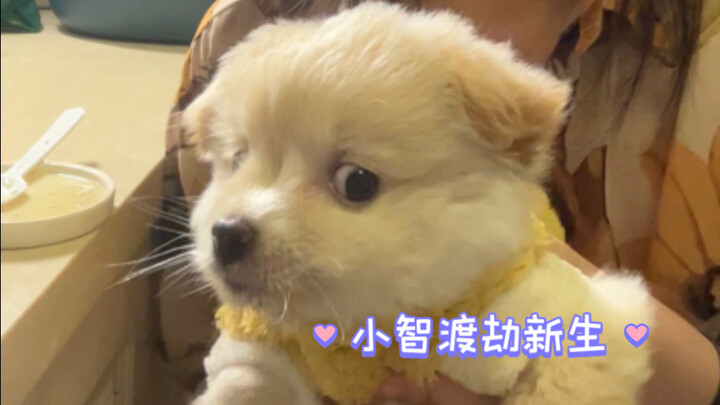 这跟自己生的有什么区别