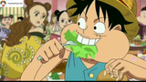 Luffy trở thành động vật quý hiếm ở đảo nữ nhi... #anime #onepiece #shooltime