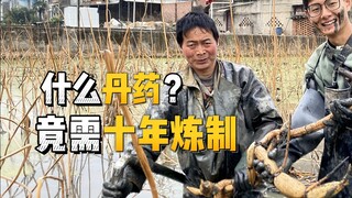 【凡人禁止观看】什么丹药，竟需十年炼制？