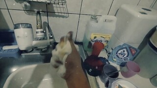 Pinaka mabilis na paraan sa pag huhugas ng pinggan (short clip)