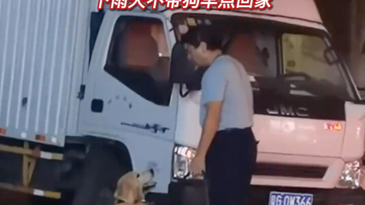 Ông chú dắt chó đi dạo thì trời đổ mưa, đứng bên đường “nói hết lời” để thuyết phục chú cún về nhà.