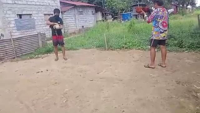 melsim greyx tornado