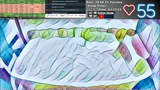 Sleep Stream 19.08.2025