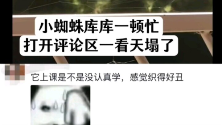 活久见！怎么这年头还能看见蜘蛛织网织的丑被网爆hhhhh但是真的织的好丑哈哈哈哈哈哈