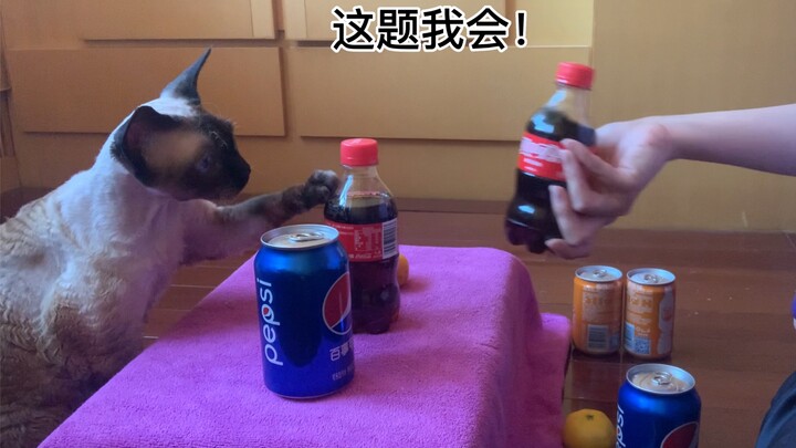 大家好！Dimo来哔哩哔哩啦！先玩个连连看小游戏吧