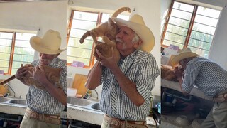 Kucing oranye yang tenang bertemu kakek yang suka melekat pada kucing