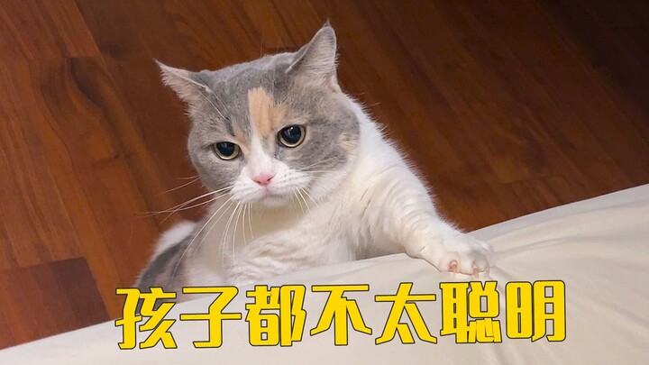 Người thân: 30 tuổi rồi mà vẫn chưa sinh con à? Tôi: Tôi đã có 5 đứa con từ lâu rồi!