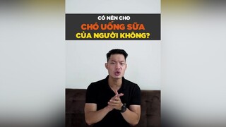 Có nên cho chó uống sữa cho người không petnhatrang petonesaigon tuitienpet dcgr