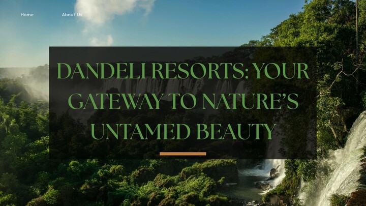 Dandeli Resorts Your Gateway to Nature’s Untamed Beauty