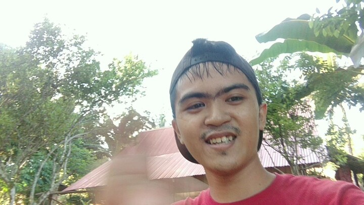gerald356