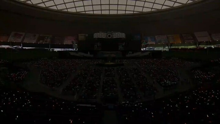 Emma Verde_La Bella Patria💚