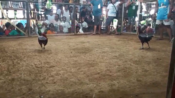 gold nanaman💪💪