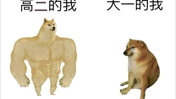 الصور السخيفة المنتشرة على الإنترنت