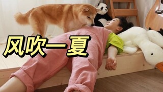 Tidurkan kucing dan anjing sebelum menari. Tarian musim panas bersama keluarga beranggotakan tiga or