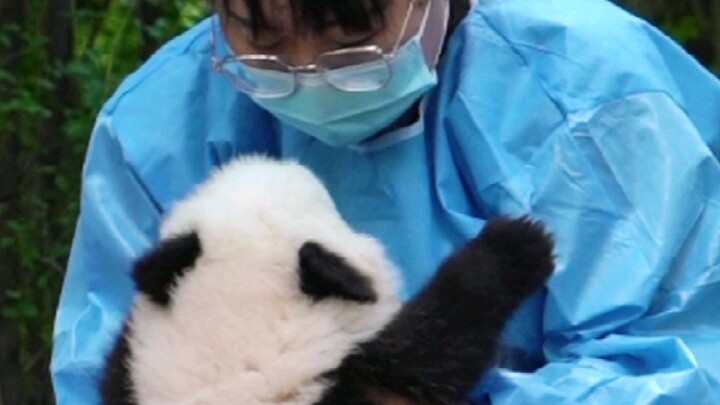 Fuduoduo: อะไรที่ไม่น่ารักในตัวฉัน?