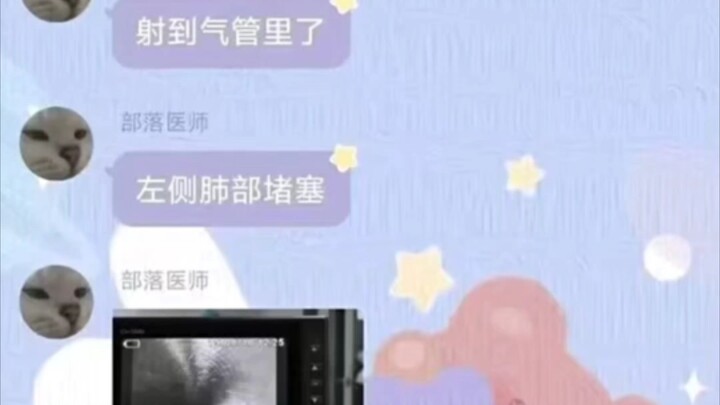 Tranh tang mỗi ngày: 6