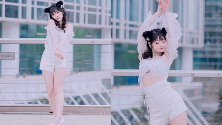 Đây là mèo con nhà ai mà sao không thấy ai nhận nhỉ | AOA Like A Cat | Cover vũ đạo của nhóm nhạc nữ