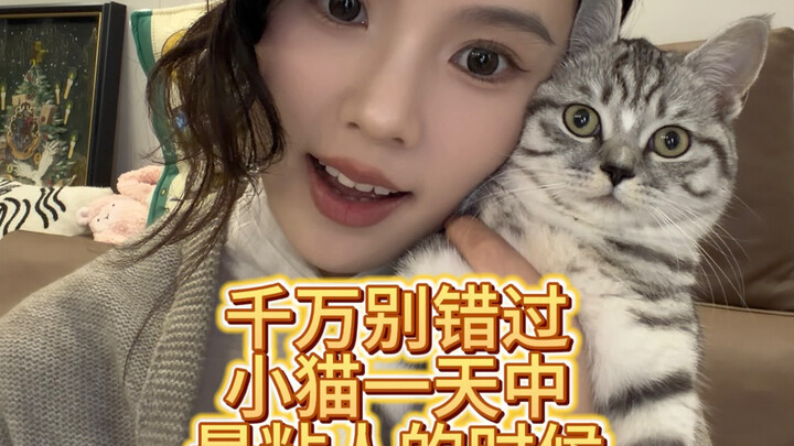 Don't miss the cutest, most clingy moment with your kitten!