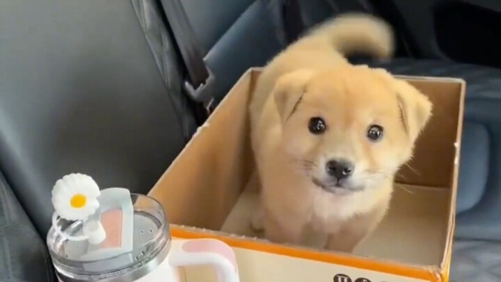 ฮี่ฮี่ น้องน่ารักมากเลยนะ!