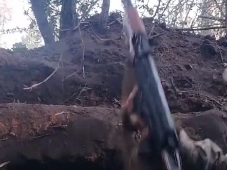 I don’t dare to show my head, not even a bit—aiming at the target is out of the question! My shootin