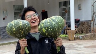 [Dilarang bagi manusia, dapat dibaca oleh biksu] Kelahiran Kembali: Kembali ke Kampung Halaman untuk