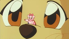 Boorin (Boorin bị thu nhỏ)