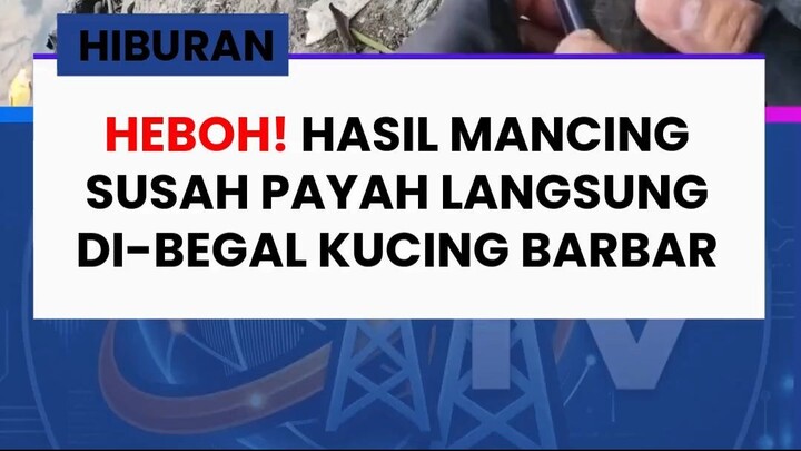Bener-bener gak ada akhlak! Capek-capek mancing, hasilnya malah di-begal meong!