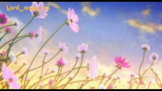 Hoạt Hình Yêu Đơn Phương #wordanimevn