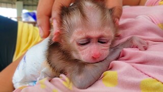 Relax & Comfort!! Mom gently does head massage for tiny adorable Luca