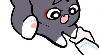 I picked up a cat family