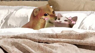 My boyfriend has kissing paranoia