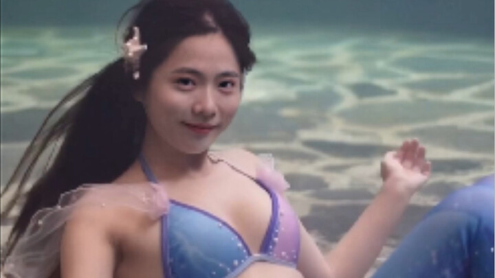 【دا سيما】سمكة العجلة الذهبية