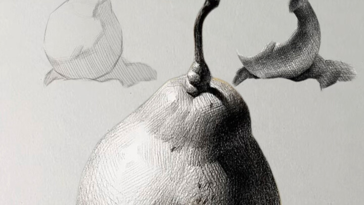 Super Detailed Drawing Steps for a Pear