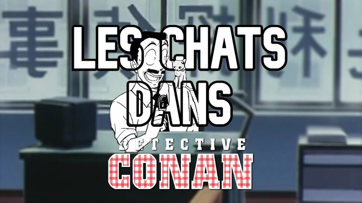 Détective Conan: Parlons des chats !