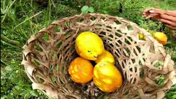 MAY BAGO NAMANG KASAMA SA AREA2! ANG GANDA NG MAISAN AT MAY BUNGA NA+ADOBONG PAT