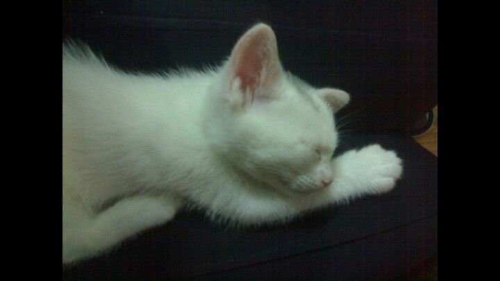 Từ khi tôi còn là học sinh trung học cho đến lúc bước vào tuổi trung niên, đã 17 năm rồi, tạm biệt L