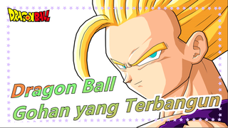 [Dragon Ball Z MAD] Gohan yang Terbangun