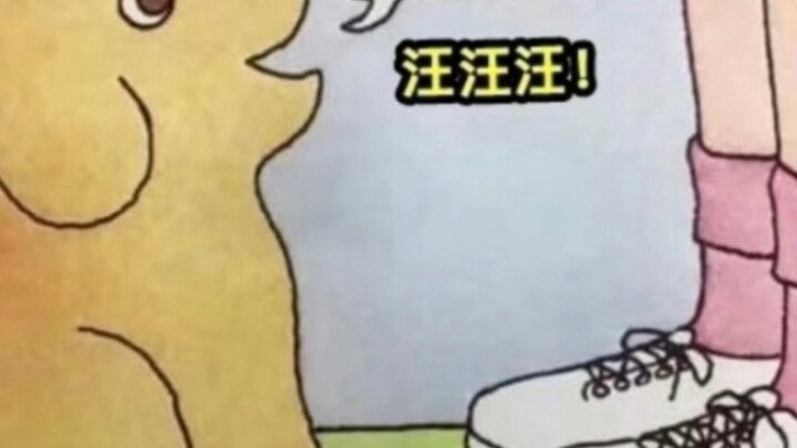 Nó là chú cún đầu tiên của cậu chủ nhỏ, cũng là chú cún đã陪伴 mẹ lâu nhất!