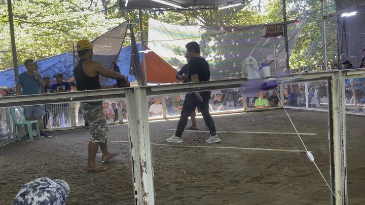 1st Fight (Hinnie) 2 hits Super Ulutan. February 4,2024