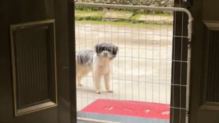 يشبه كثيرًا زميل الدراسة الذي كان يأتي ليلعب معي في الطفولة!