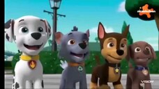 Paw Patrol Musim 9 Episode 19 dan 20 Bahasa Indonesia Vision+