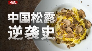 จากอาหารหมูสู่ "เพชรดำ": การเติบโตของเห็ดทรัฟเฟิลจีน
