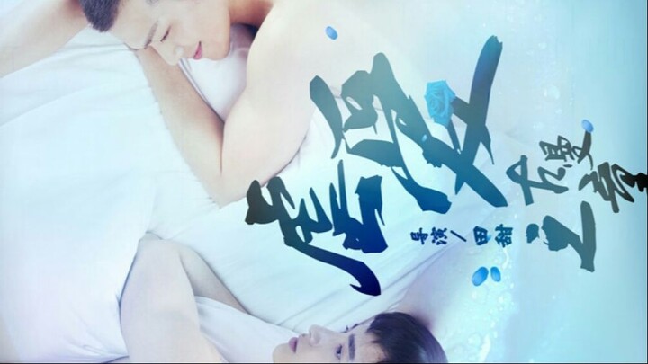 QUEER BEAUTY (2016)