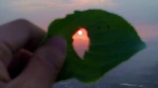 「我们的青春-他接住了」