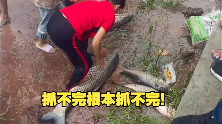 Waduk lagi-lagi buang air, nggak bakal kelar dipancing!