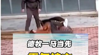 Having a dog really works!