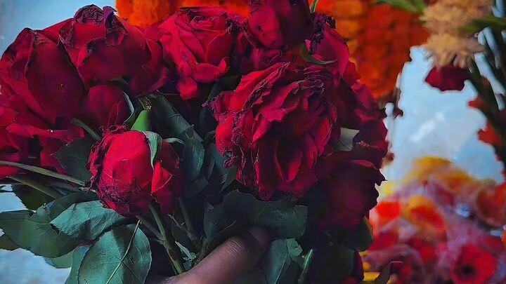 আমি তোমাকে প্রচন্ড ভালবাসি ❤️