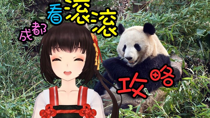 【泠鸢vlog#2】超贴心攻略！成都大熊猫基地你需要了解的游览技巧~