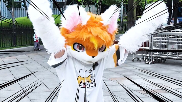 ฉันเป็นสายฟรุ๊กี้!!!!!! (เสียงดังมาก)