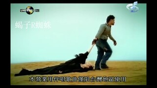 英 雄 联 盟 S O L O 大 赛
